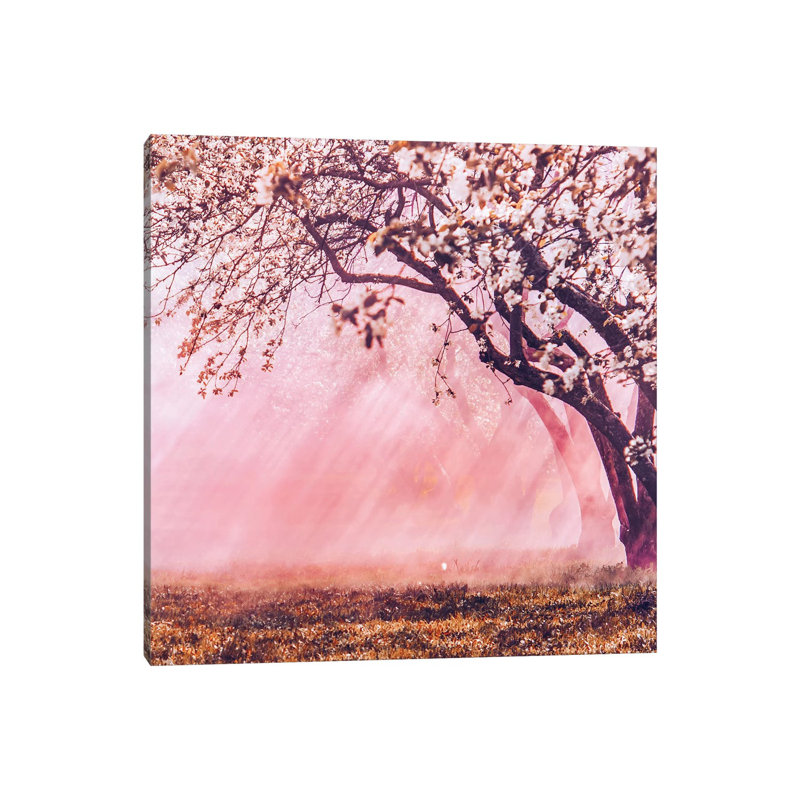 « Sunrise Blossom » par Hobopeeba-impression, Toile tendue, Pas de tapis, H 12 po x l 12 po x P 0,75 po