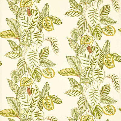 Calathea Fabric