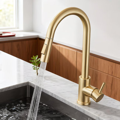 Moverlesenk Kitchen Faucet Side Spray