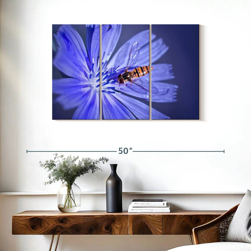 Bee On Chicory Flower, 24" H x 38" W