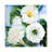 Vintage Style Floral Printed Rug with Soft Pile for Enhancing Indoor Decor and Providing Comfort underfoot-1342228218