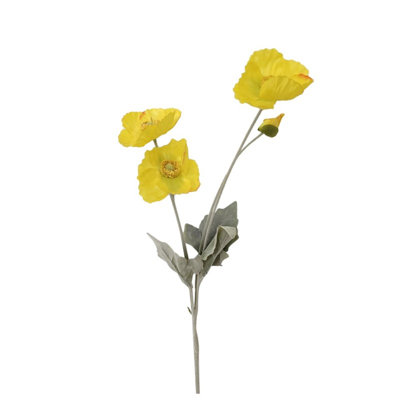 Ranunculus Arrangement