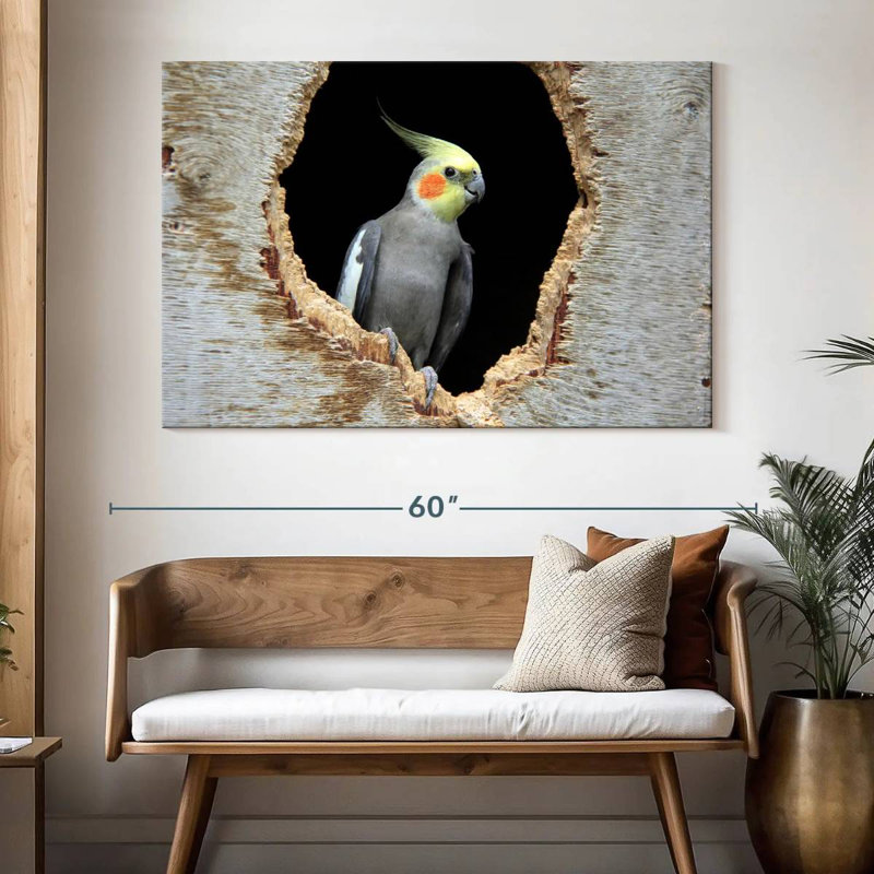 Cockatiel Brampt dans un trou, H 34 po x l 51 po