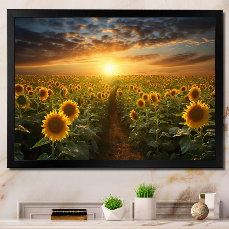 Tournesol doré panoramique - décoration murale florale, 34" H x 44" W, Black Picture Framed