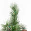 Arbres de noël