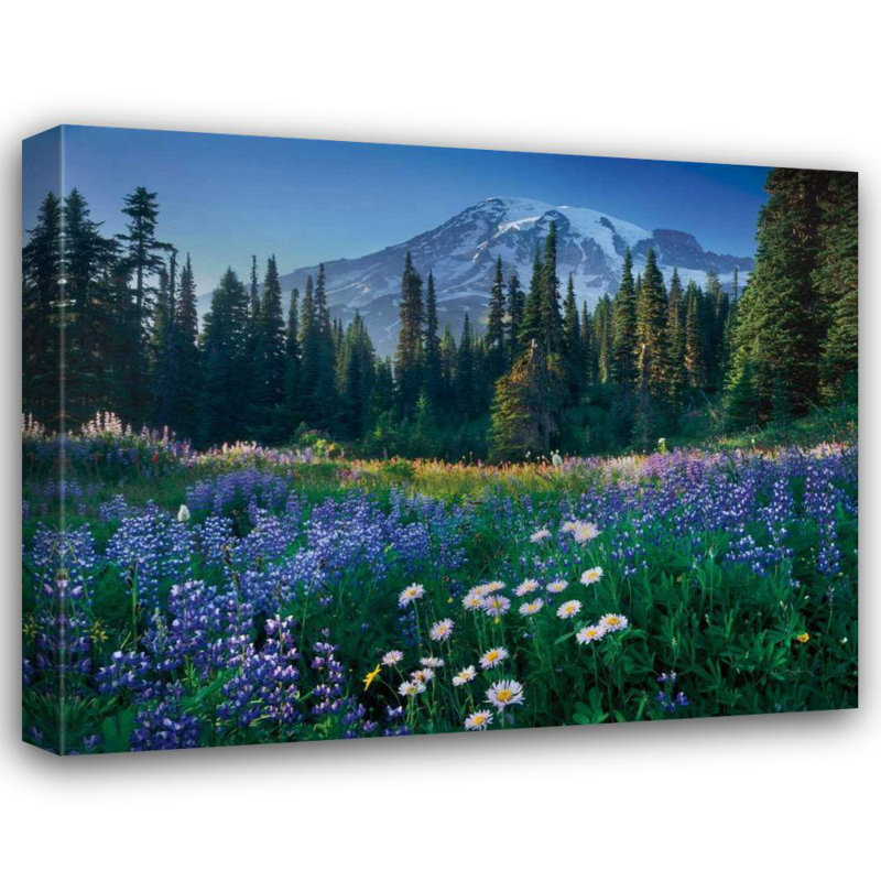 Alcott Hill®, galerie d'art sur toile tendue Majchrowicz, Alan, mont Rainier, H 20 po x l 24 po