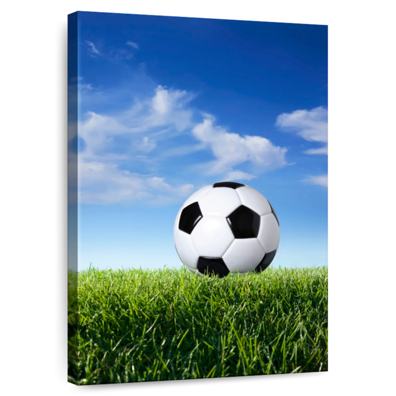 Ballon de soccer Sireci sur gazon, H 24 po x l 16 po