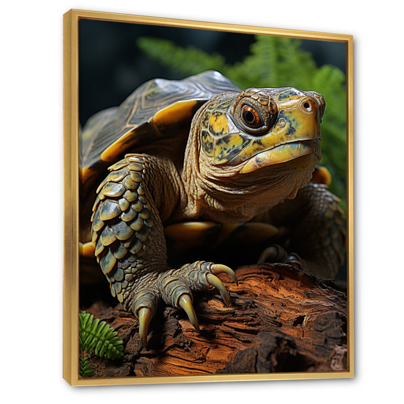 Gros plan sur une tortue vibrante, Cadre flottant doré, H 44 po x l 34 po x P 1,5 po
