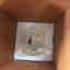 Customer photo 2 of 2