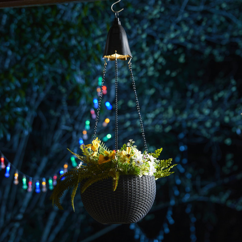 Hanging Planter, Black