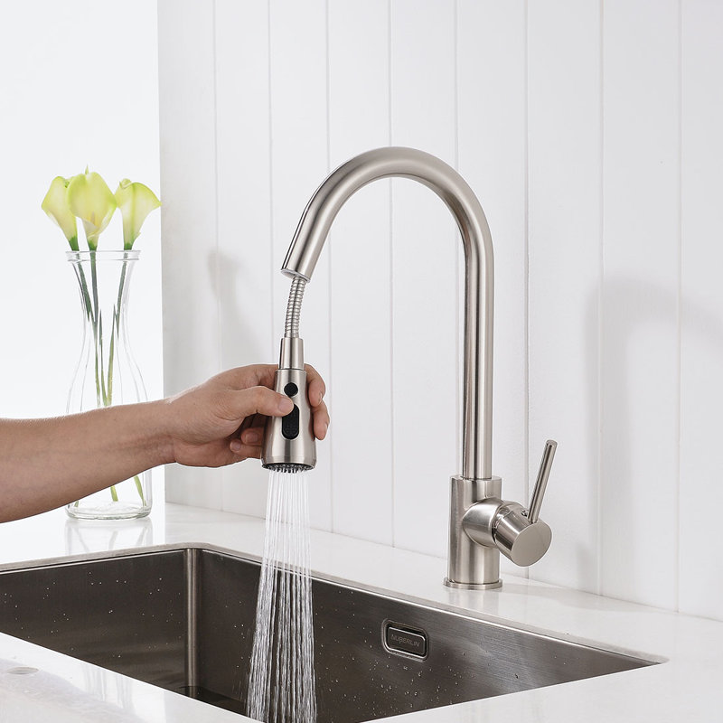 FLG Pull Out Kitchen Faucet