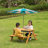 Takuo Convertible Wooden Sand and Water Table for your Toddlers Outdoor Playset Featuring 2 Play Box and a Removable Top that Transforms into Kids Picnic Table - Teak Stained