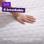 Slumberdown Anti Allergy Mattress Protector – Allergy UK Approved Quilted Mattress Cover, Anti-Bacterial & Dust Mite Resistant – Soft Touch, Deep Fit 30cm with Elasticated Straps – Machine Washable-50898379