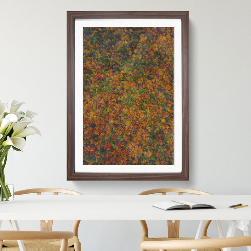 Thousands of Trees - Picture Frame Graphic Art, Walnut, 36cm H x 27cm W x 2cm D