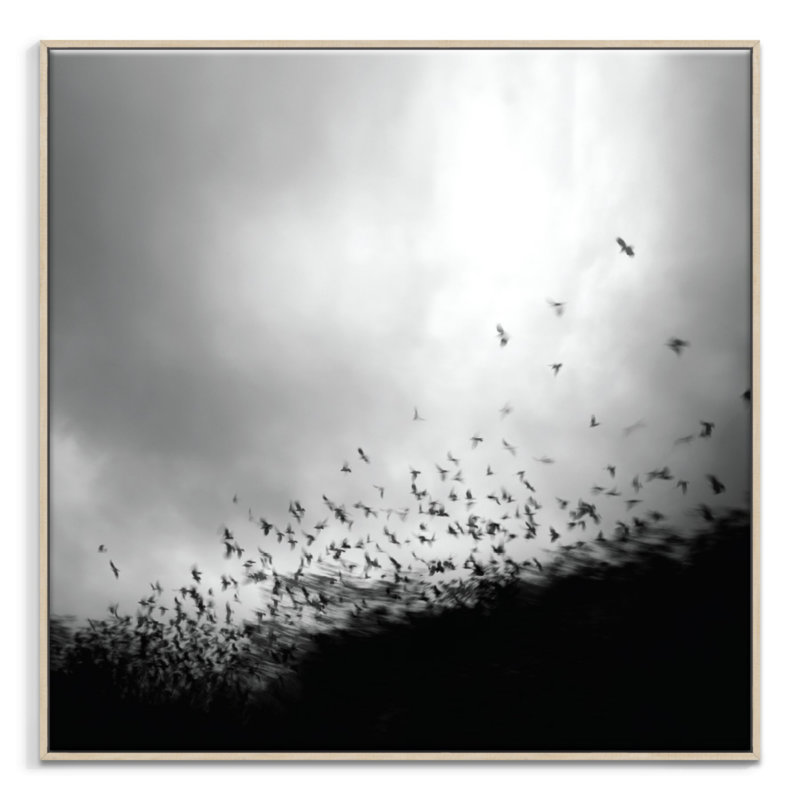 Print on Canvas, Timber, 76cm H x 76cm W