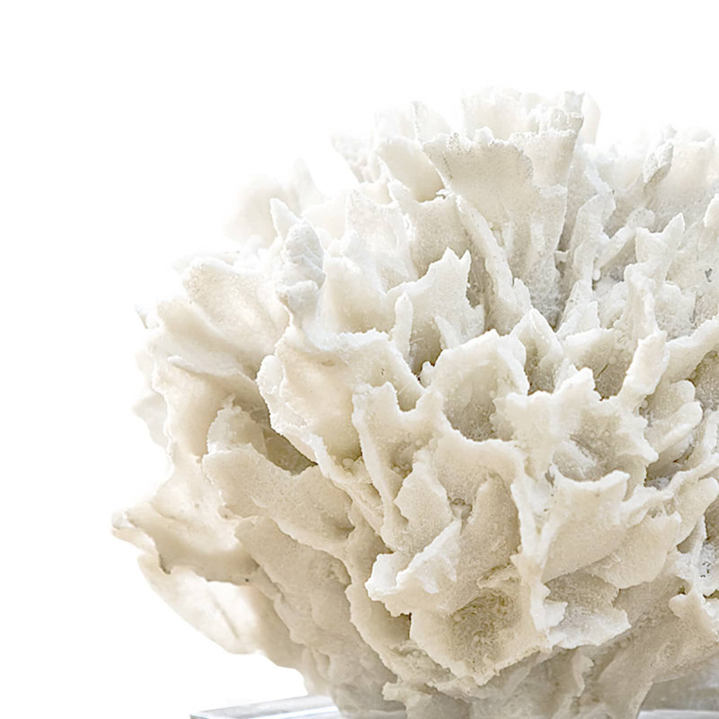 Ribbon Coral, White