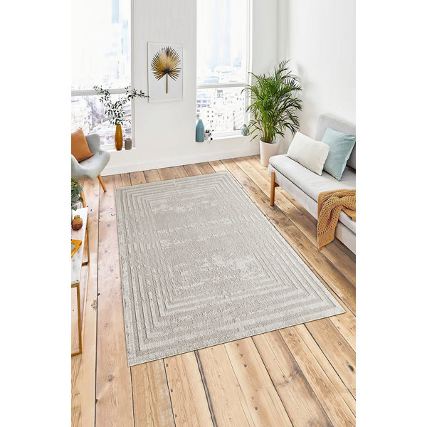 ZACOO Machine Braided Polyester Light Gray Machine Washable Rug