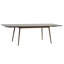 Plessis Extendable Dining Table