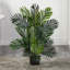 Arbre de palmier artificiel 30,5" dans un pot de fleurs