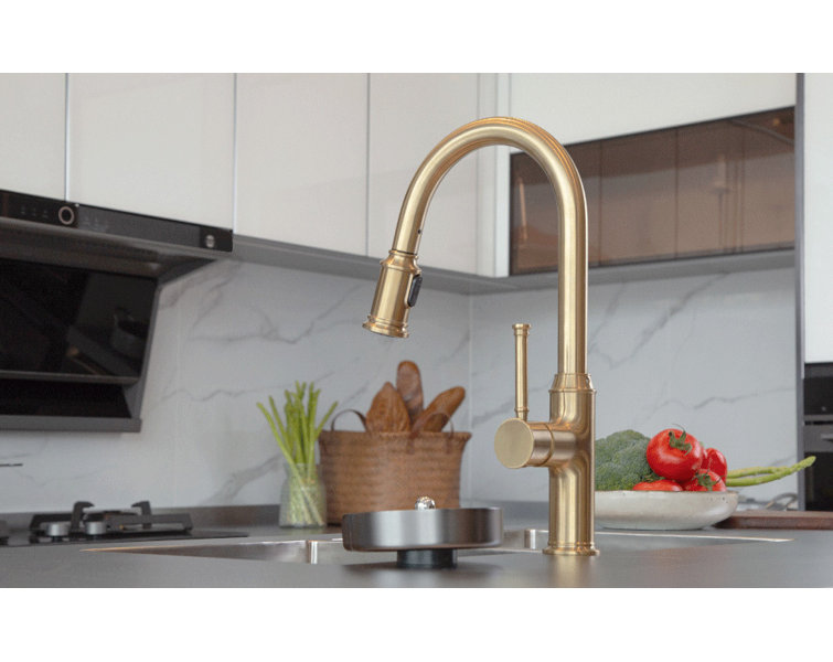 Pull Down Single Handle Kitchen Faucet with Accessories