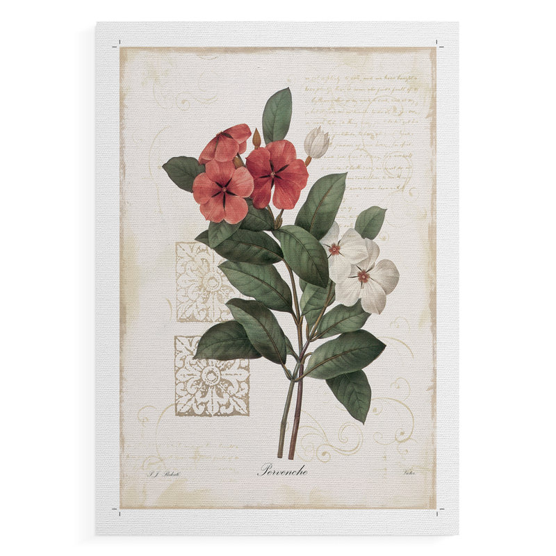Pervenche - Impression sur toile seulement - NON CADRE