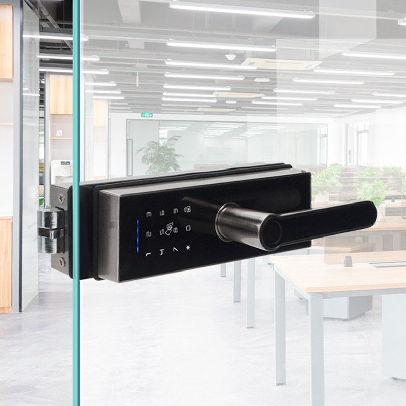 Smart Lock With Fingerprint, Password, Ic Card, Keys Unlock - Glass Door Locks