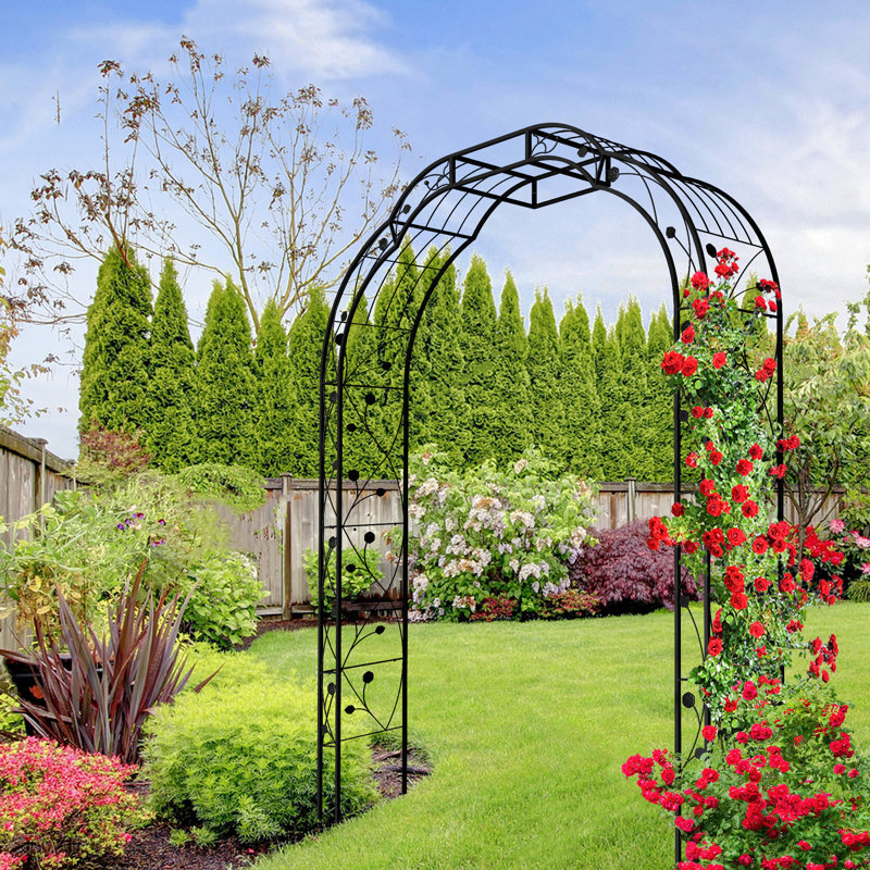 Arche de jardin d'extérieur pour plantes grimpantes, treillis, rose , Noir