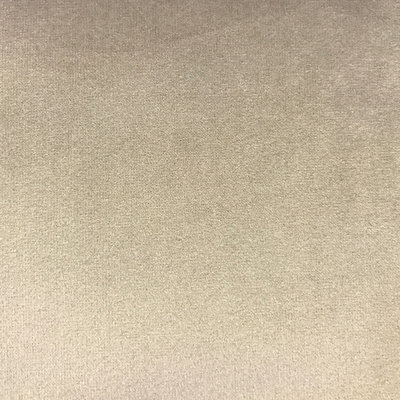 Solid Velvet | Velluto Fabric