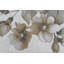 Tiyanah 7,10 x 10 11363-99 crème / multicolore