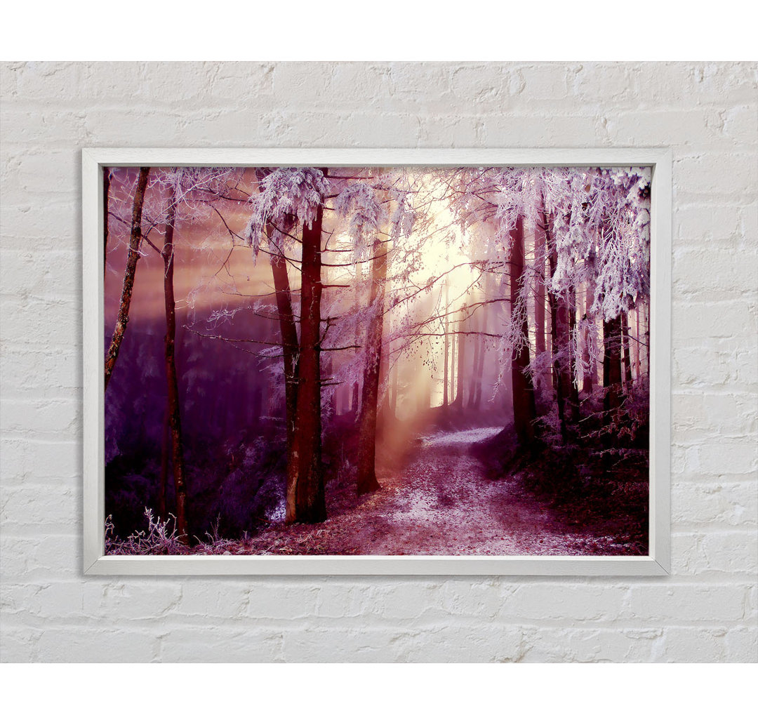 Winter Woodland Sunbeam - Einzelner Bilderrahmen Kunstdrucke auf Leinwand