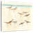 Brampt Sandpipers White-109373654