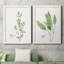 Fresh Sprig Thym - ensemble de 2 reproductions d'art-1542045464-1542045465-1542045466