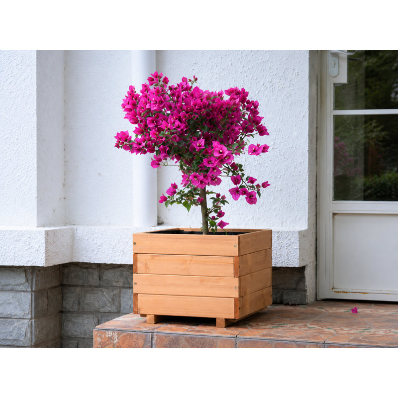 40"w Planter Box, 13" H x 15.75" W x 15.75" D