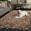Tapis doré à poils longs Assar-2016217344