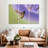 Nectar Sipping Hummingbird-107990758