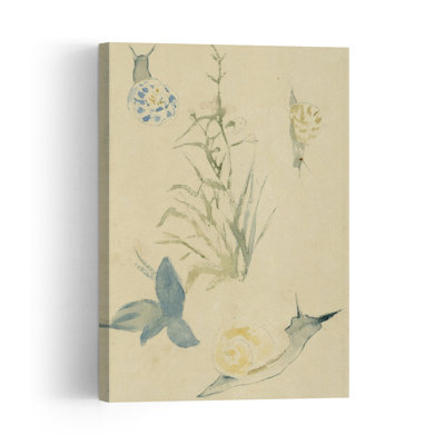 Sketches Of Snails, Flowering Plant, C.1880 Abstract Contemporary Flower Nature Wall Art Print