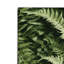 Tapis vert d'intérieur et d'extérieur Botanical-868951859