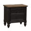 Aisja 2 Drawer Nightstand w/ USB Charging Ports - Black-2139584273