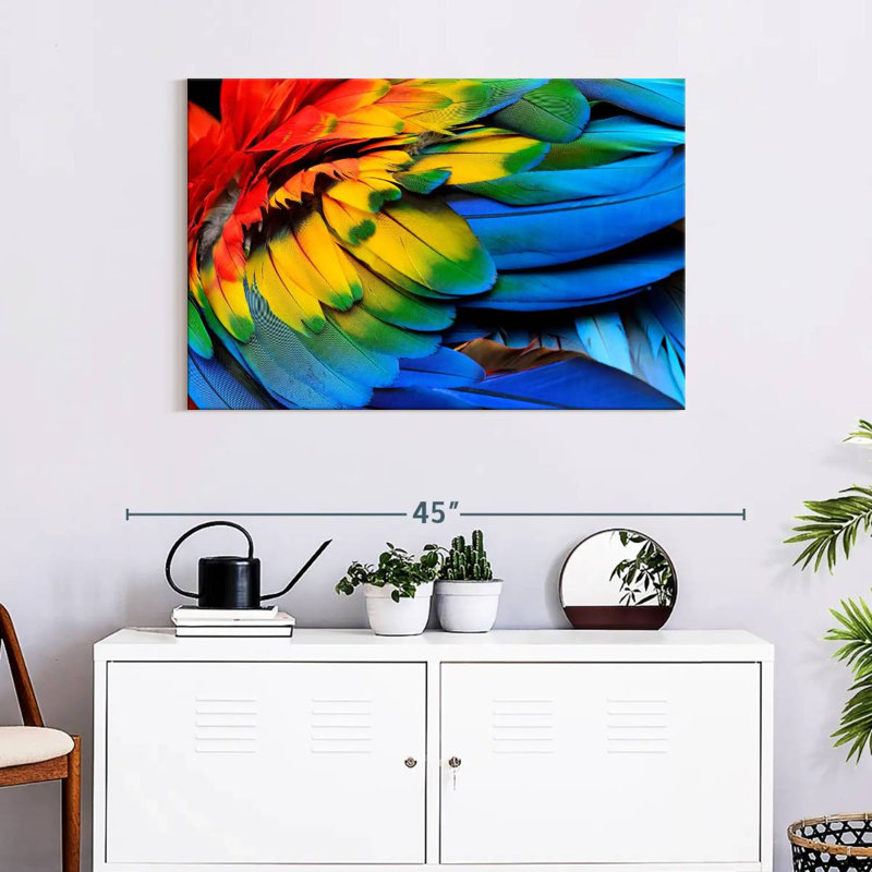 Brampt Macaw Bird Feathers, 24" H x 36" W
