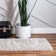  Tapis beige