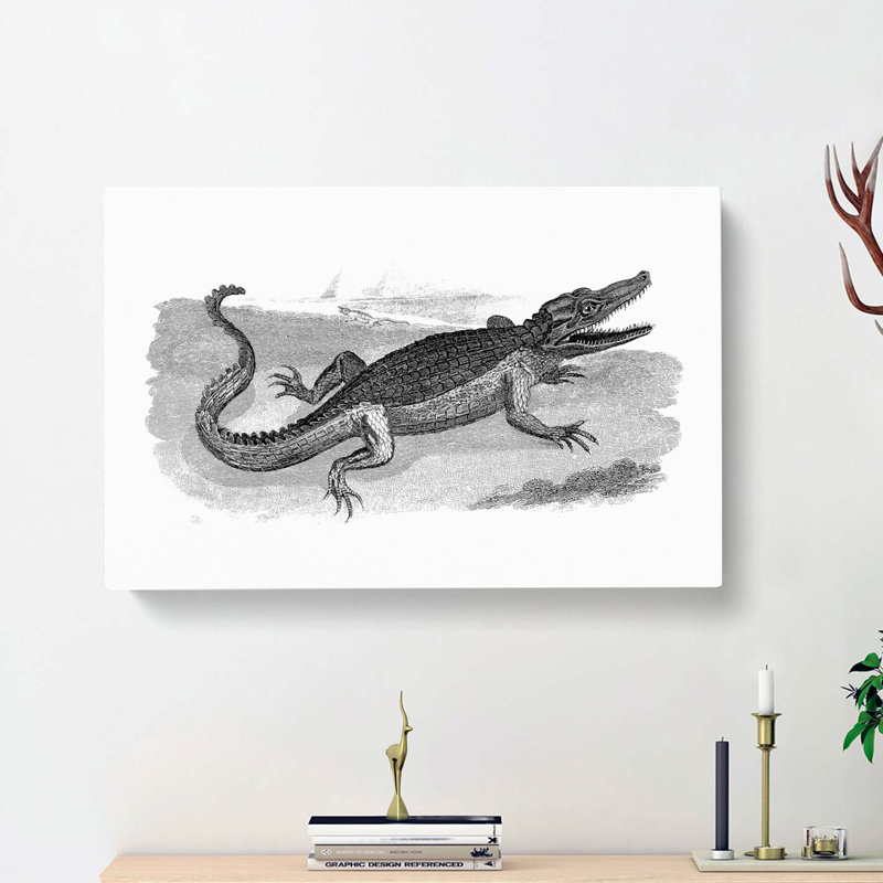 Crocodile in Black & White by George Shaw - Wrapped Canvas Drawing Print, 35cm H x 50cm W x 3cm D