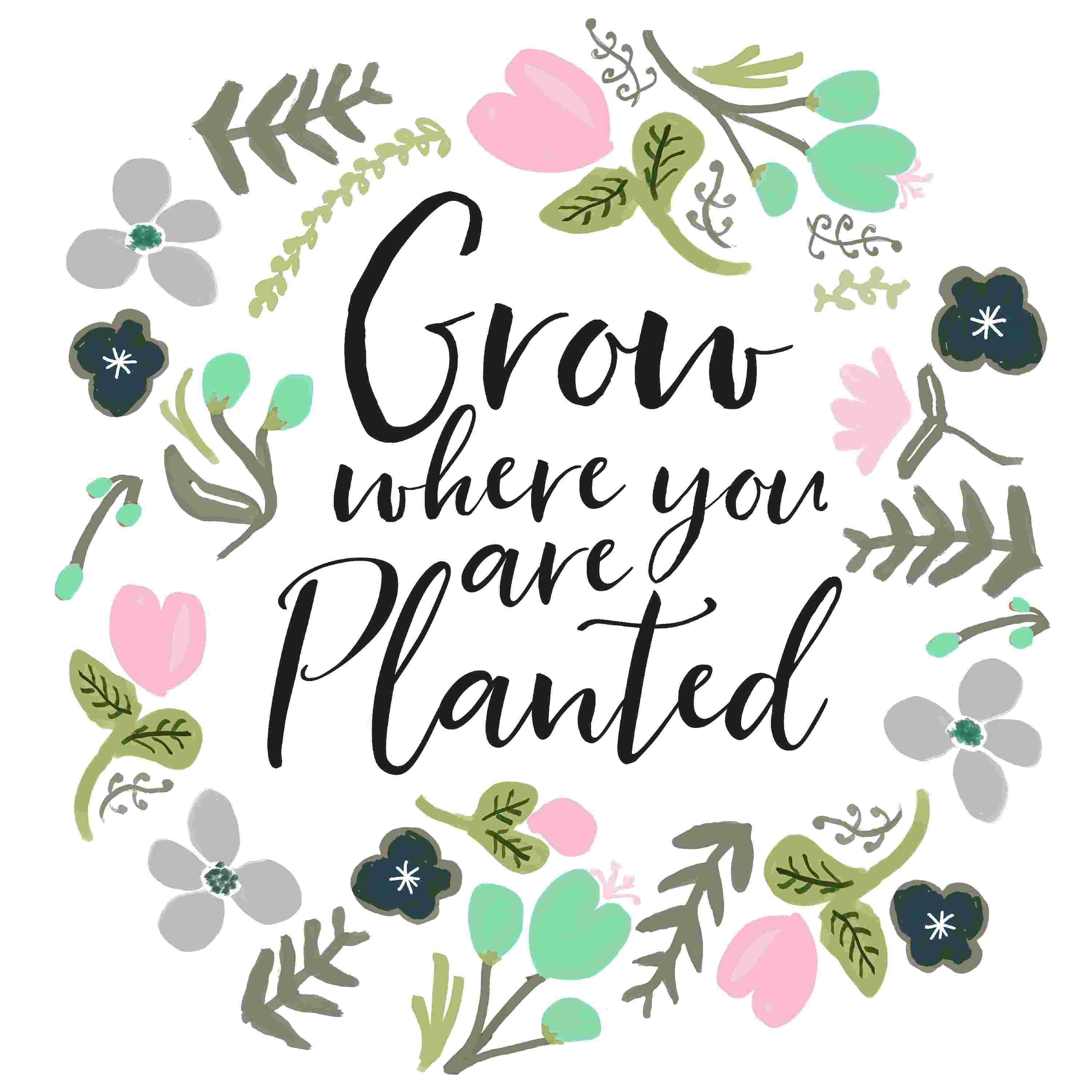 thumbnail image 2 of Bloom Where You Are Planted Embroidery Design 2 of 11