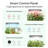 Indoor Hydroponic Growing System