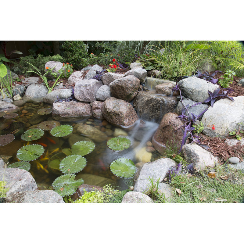 6' x 8' Black DIY Backyard Pond Kit with Pump