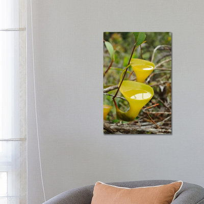 Ch'ien Lee - Wrapped Canvas Print