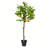 Artificial Potted Lemon Tree-834844414