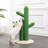 Elyzabel Scratching Post