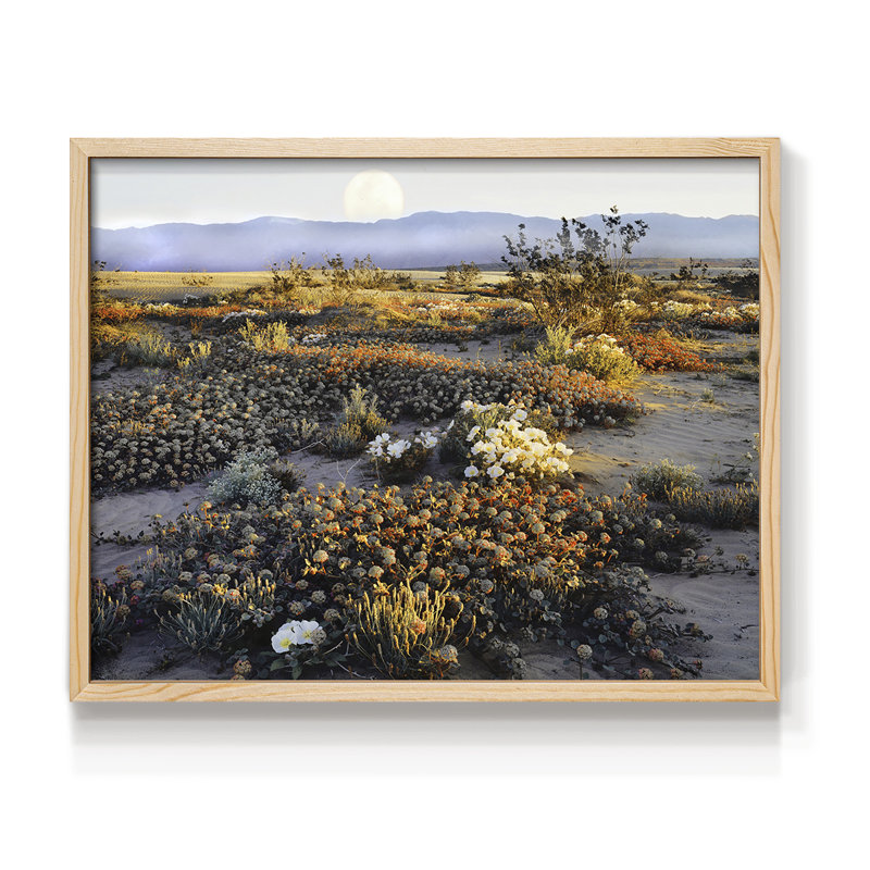 Anza Borrego - impression encadrée - réaménageable, Naturel, H 11 po x l 14 po