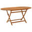 Louvenia Oval Pine Folding Outdoor Dining Table With Umbrella Hole , 160cm cm W 85cm cm D