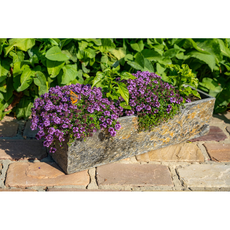 Handmade Planter Box